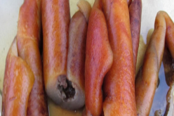 Shun consumption of animal skin to stave off cancer — Don advises