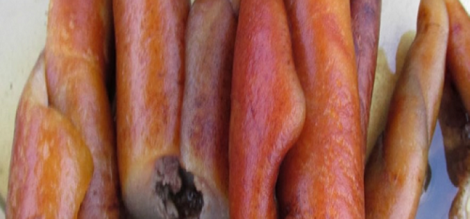 Shun consumption of animal skin to stave off cancer — Don advises