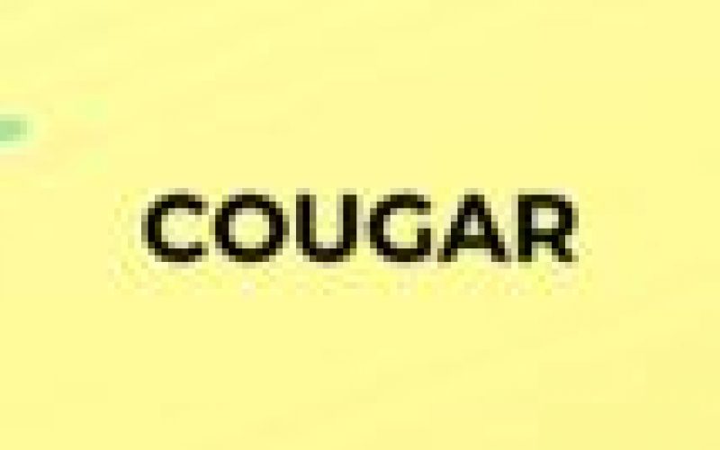 Being a successful cougar is an art