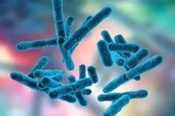 Abuja Wife Gives away Permanent cure to Staph, STD, UTI, Gonorrhea, e.coli, and other Resistant toilet infections using Natural solution