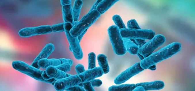 Abuja Wife Gives away Permanent cure to Staph, STD, UTI, Gonorrhea, e.coli, and other Resistant toilet infections using Natural solution