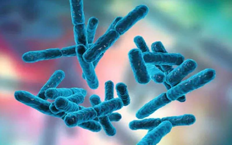 Abuja Wife Gives away Permanent cure to Staph, STD, UTI, Gonorrhea, e.coli, and other Resistant toilet infections using Natural solution