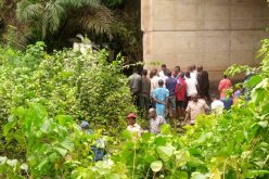Newly married man, four others dead as bus plunges into Ondo river [photos]
