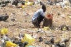 Open defecation: Water Resources Ministry, NOA sensitise stakeholders in Nasarawa