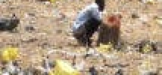Inside Bauchi community where open defecation attracts 2-month jail term, other penalties