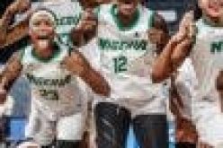 D’Tigress will make Nigerians proud at Tokyo 2020 — Amukamara
