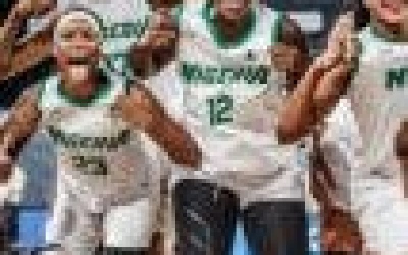 D’Tigress will make Nigerians proud at Tokyo 2020 — Amukamara