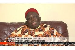 Nigeria: Powerful Groups Scuttled Implementation of 2014 National Conference Report, Ohaneze President Obiozor Says