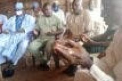 Northern community in Abia demands inclusion in Ebubeagu security outfit