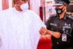 PHOTOS: Buhari receives acting IGP Usman Alkali Baba