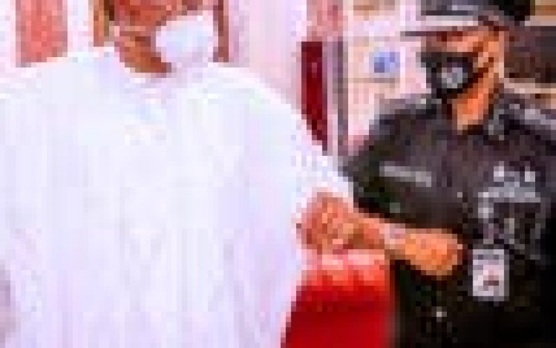 PHOTOS: Buhari receives acting IGP Usman Alkali Baba