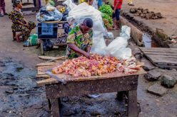 Lagos renews clamp-down on illegal abattoirs, veterinary premises