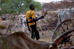 Hunters foil suspected herdsmen’s kidnap attempt in Osun
