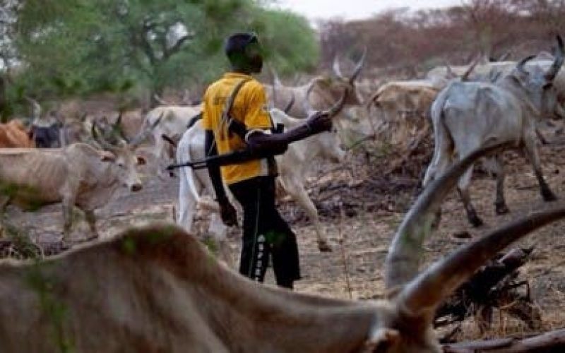 Hunters foil suspected herdsmen’s kidnap attempt in Osun