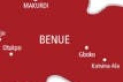 After shedding so much blood, losing our people, farmlands  Benue youths resolve to fight back