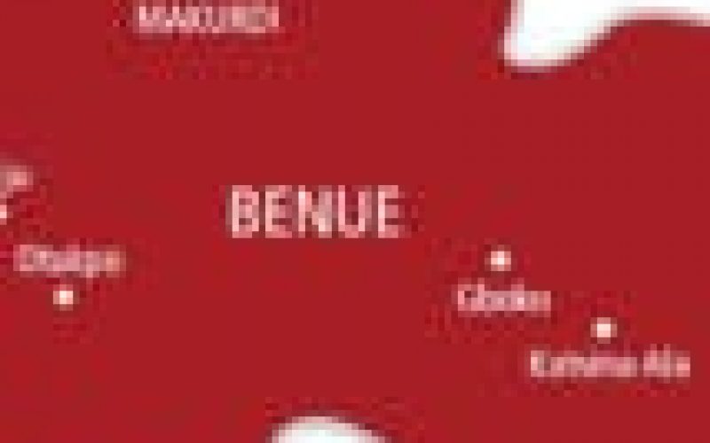 After shedding so much blood, losing our people, farmlands  Benue youths resolve to fight back