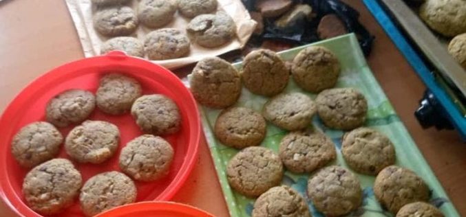 Female undergraduate, boyfriend nabbed for selling drugged cookies to school children, others