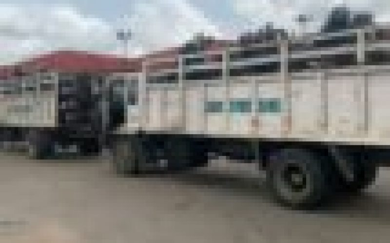 Lagos Taskforce impounds 81 motorcycles on restricted routes