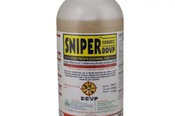 OAU student dies after consuming sniper
