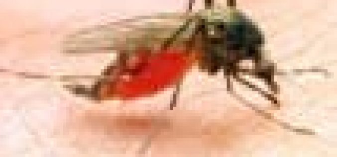 Malaria: Improper use of nets worrisome — Mrs Oyetola