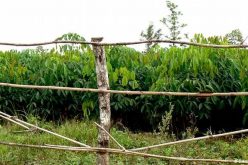 Land dispute: ‘Stop provoking us’, Abia community warns Imo neighbours