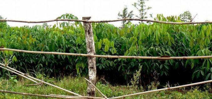 Land dispute: ‘Stop provoking us’, Abia community warns Imo neighbours