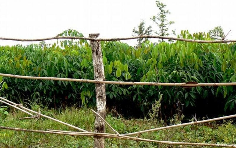 Land dispute: ‘Stop provoking us’, Abia community warns Imo neighbours