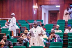 Pantami’s sympathy to insurgents has great consequences ― Rep Gagdi