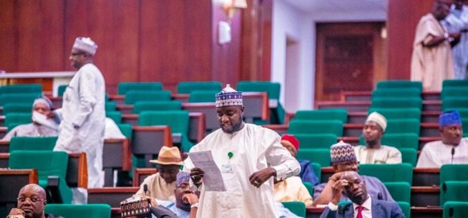 Pantami’s sympathy to insurgents has great consequences ― Rep Gagdi