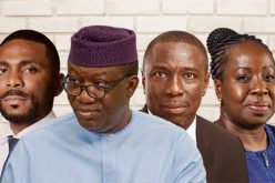 Fayemi, Ighodalo, Opeke, Ajaere, others named in NGF – NESG committee