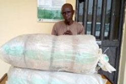 NDLEA arrests wanted Abia drug supplier, seizes 100kg of cocaine, cannabis