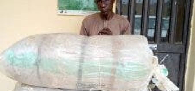 NDLEA arrests wanted Abia drug supplier, seizes 100kg of cocaine, cannabis