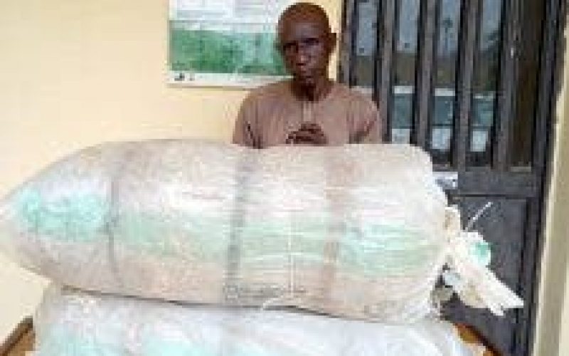 NDLEA arrests wanted Abia drug supplier, seizes 100kg of cocaine, cannabis