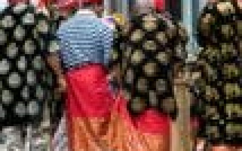 [ICYMI] Igbo community in C’River at ‘war’ over leadership