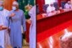 PHOTOS: Lalong leads northern governors to Buhari