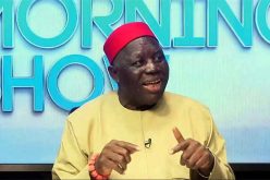 2023: APC, PDP, others should nominate Igbo candidate for election in Nigeria — Ohanaeze