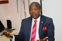 2023: Igbo don’t need special unity to produce president — Ohuabunwa, Amucheazi