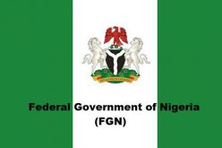 Printing of N60bn allegation by FG false, NEC insists
