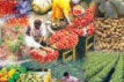 FG set to galvanize food production with 60, 000 tractors