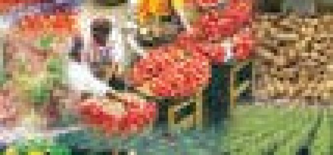 FG set to galvanize food production with 60, 000 tractors