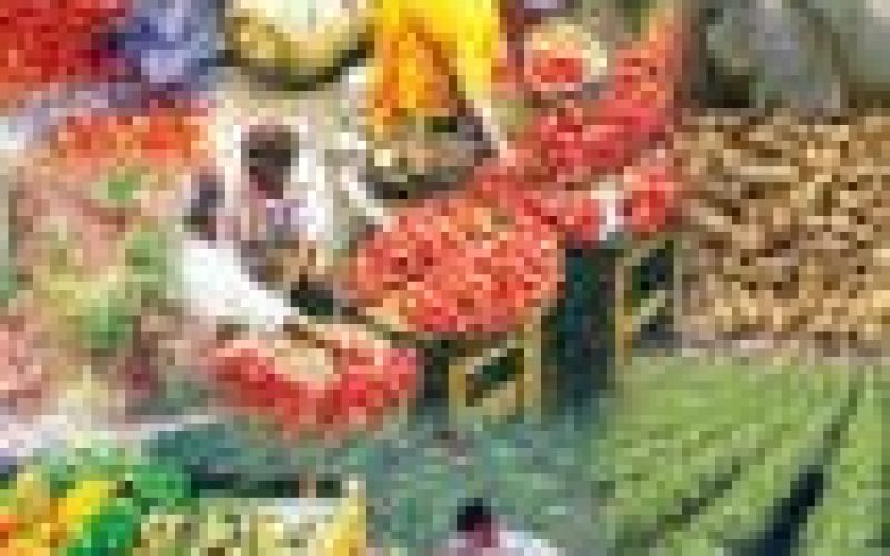 FG set to galvanize food production with 60, 000 tractors