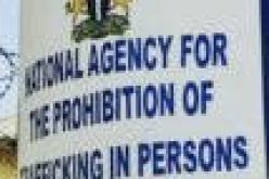 NAPTIP receives 8 rescued children, 2 suspected traffickers in Kano