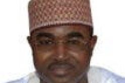 NDLEA ‘ll go after supermarkets, confectionery selling drugged cookies – Marwa