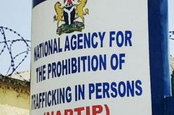 NAPTIP reunites victim with family after 20 years