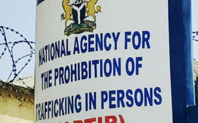 NAPTIP reunites victim with family after 20 years