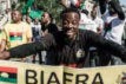 I never said IPoB was responsible for killings in S-East — Nwodo