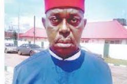 Igbo Presidency: Let us not expose our strategies before takeoff — Chief Okeke-Ogene