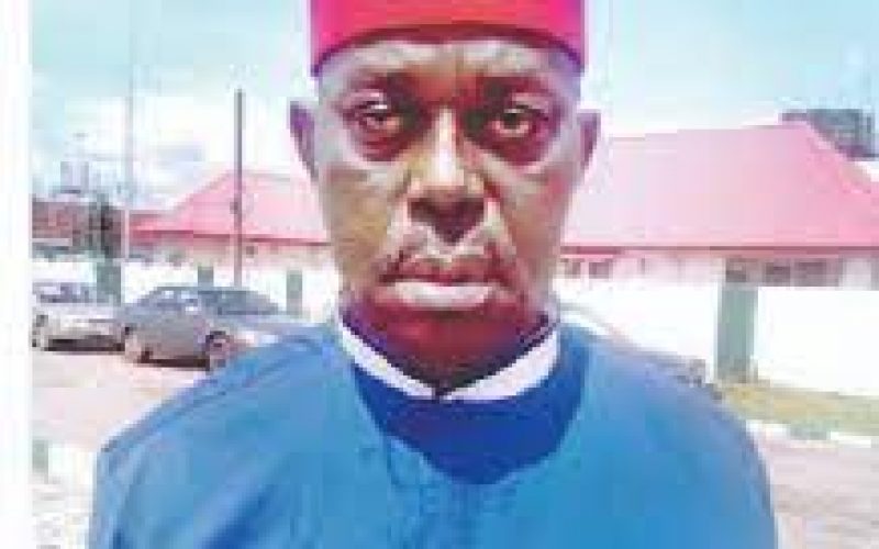 Igbo Presidency: Let us not expose our strategies before takeoff — Chief Okeke-Ogene