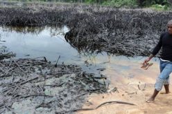 Shell confirms oil spill in Bayelsa community