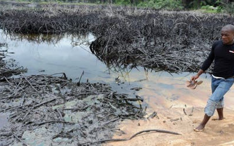 Shell confirms oil spill in Bayelsa community